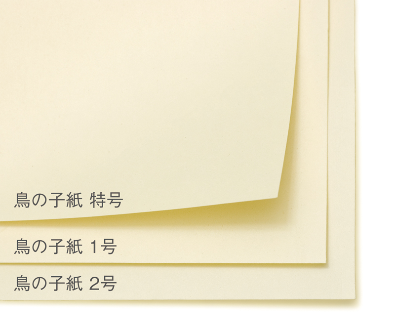 鳥の子紙 - とりのこし | 武蔵野美術大学 造形ファイル